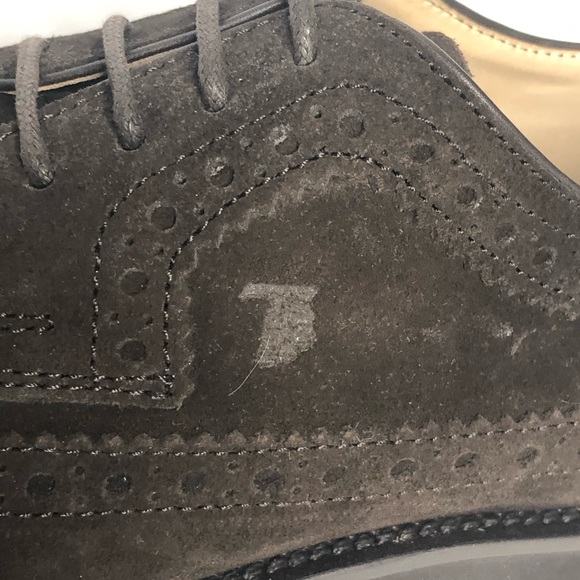 FLASH SALE!! NEW Tod's Mens or Womens Dark Brown Suede Oxfords - Picture 15 of 15